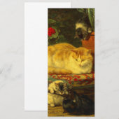 Kittens aan het Spelen Kaart (Voorkant / Achterkant)