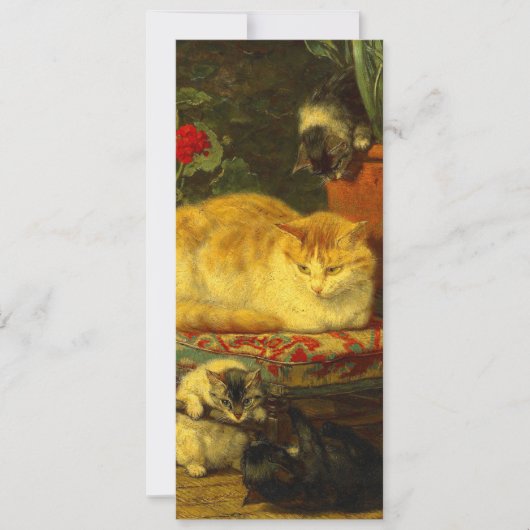 Kittens aan het Spelen Kaart (Voorkant)