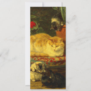 Kittens aan het Spelen Kaart