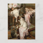 Kittens afspelen briefkaart (Voorkant)