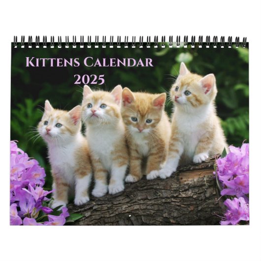 Kittens-agenda Kalender (Hoes)