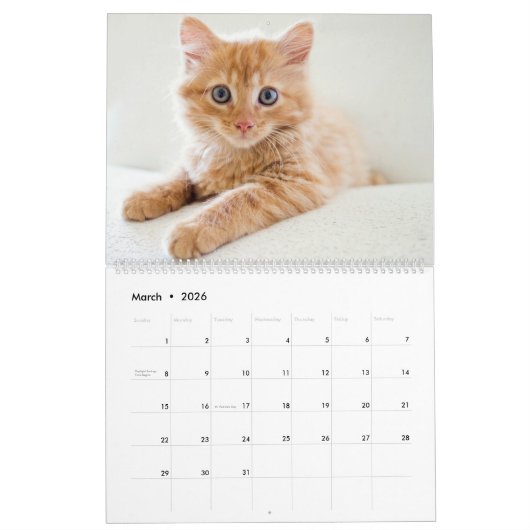 Kittens-agenda Kalender (Mar 2026)