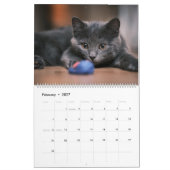 Kittens-agenda Kalender (Feb 2027)