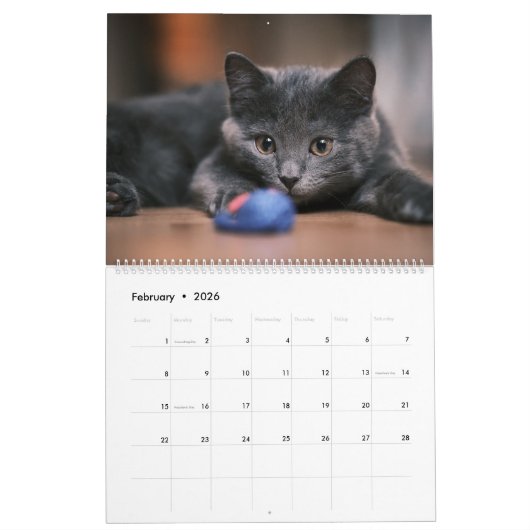 Kittens-agenda Kalender (Feb 2026)