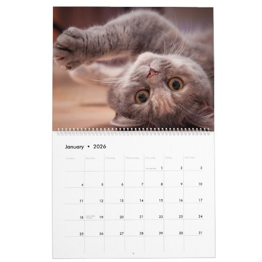 Kittens-agenda Kalender (Jan 2026)