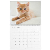 Kittens-agenda Kalender (Mar 2027)