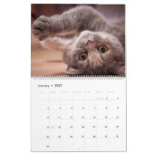 Kittens-agenda Kalender (Jan 2027)