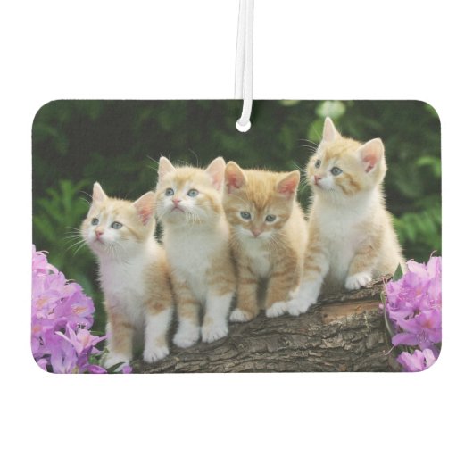 Kittens Air Freshener Luchtverfrisser (Achterkant)