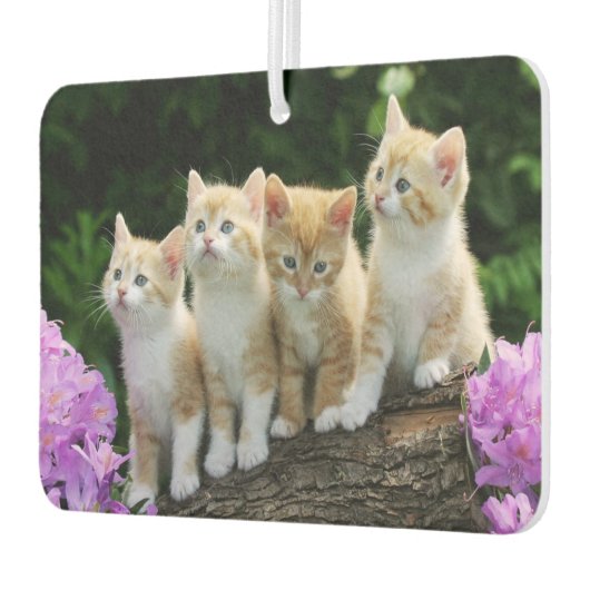 Kittens Air Freshener Luchtverfrisser (Links)