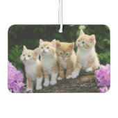 Kittens Air Freshener Luchtverfrisser (Voorkant)