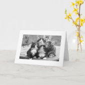KITTENS AKKOORD U MOET EEN HAPPY BIRTHDAY HEBBEN KAART (Gele Bloem)