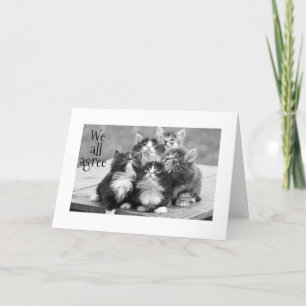 KITTENS AKKOORD U MOET EEN HAPPY BIRTHDAY HEBBEN KAART