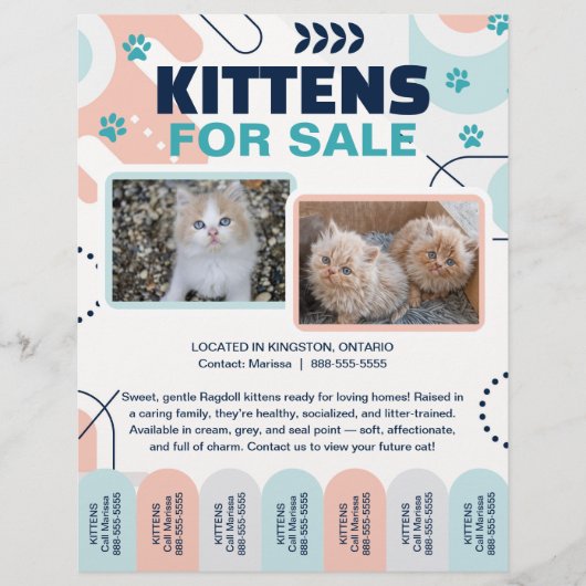 Kittens and Cats For Sale Tear Offs Flyer Template (Voorkant)