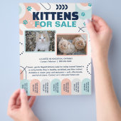 Kittens and Cats For Sale Tear Offs Flyer Template (Hand)