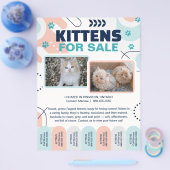 Kittens and Cats For Sale Tear Offs Flyer Template (Enkel)