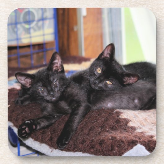 Kittens Bier Onderzetter (Voorkant)