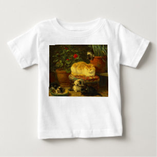 Kittens bij Play