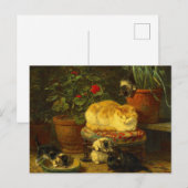 Kittens bij Play Briefkaart (Voorkant / Achterkant)