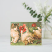 Kittens bij Play Briefkaart (Staand voorkant)