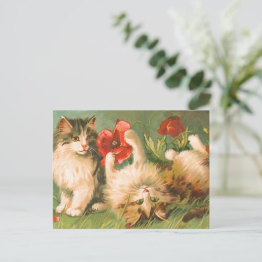 Kittens bij Play Briefkaart (Staand voorkant)