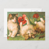 Kittens bij Play Briefkaart (Voorkant / Achterkant)