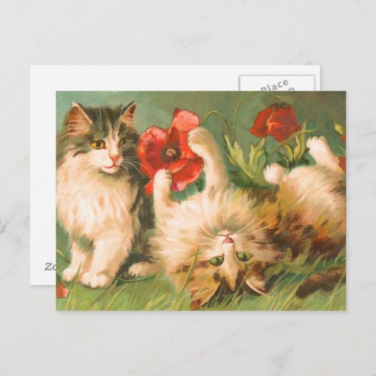 Kittens bij Play Briefkaart (Voorkant / Achterkant)