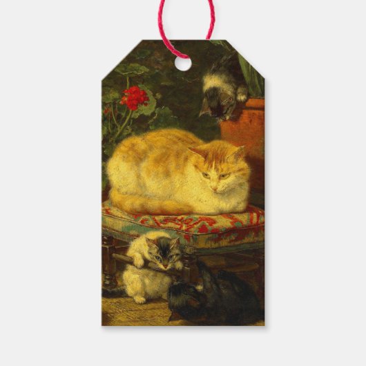 Kittens bij Play Cadeaulabel (Voorkant)