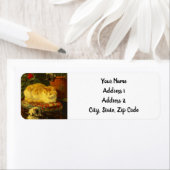 Kittens bij Play Etiket (Insitu)