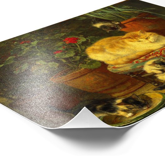 Kittens bij Play Foto Afdruk (Hoek)