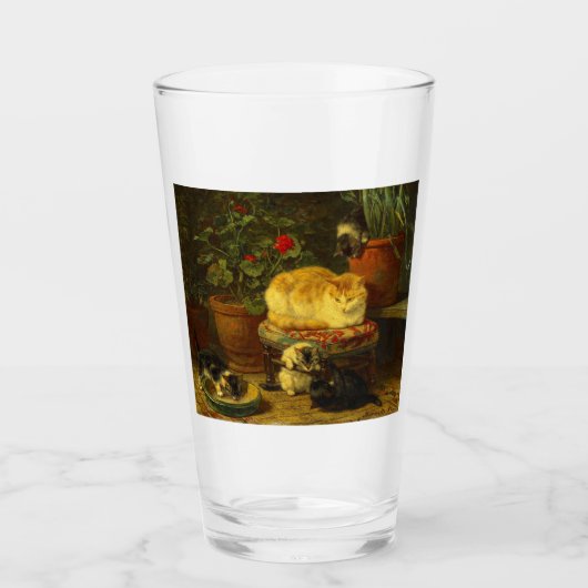 Kittens bij Play Glas (Voorkant)