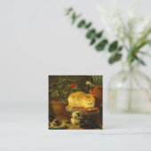 Kittens bij Play Informatiekaartje (Staand voorkant)