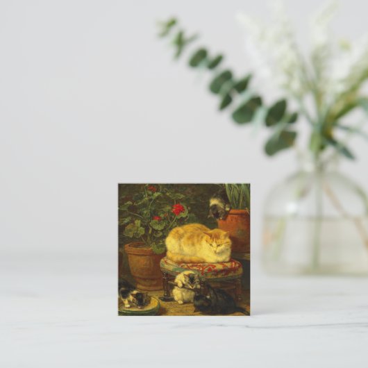 Kittens bij Play Informatiekaartje (Staand voorkant)