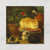 Kittens bij Play Informatiekaartje (Voorkant)