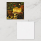 Kittens bij Play Informatiekaartje (Voorkant / Achterkant)