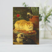 Kittens bij Play Informatiekaartje (Staand voorkant)