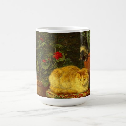 Kittens bij Play Magische Mok (Midden)