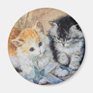 Kittens bij Play Magneet