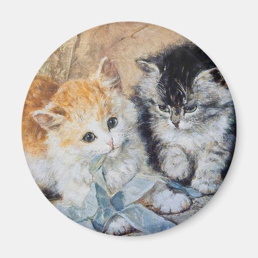 Kittens bij Play Magneet (Voorkant)