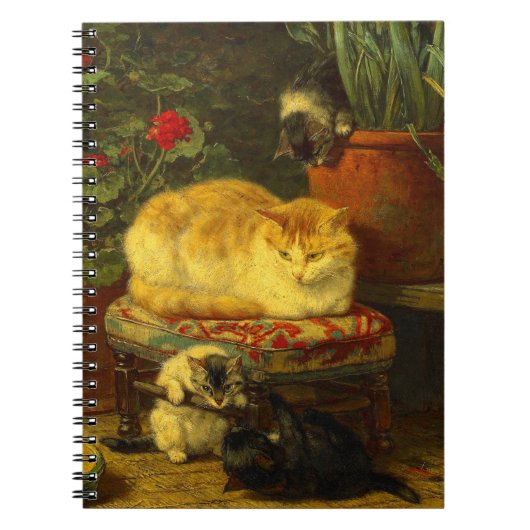 Kittens bij Play Notitieboek (Voorkant)