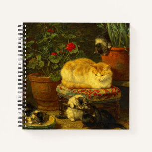 Kittens bij Play Notitieboek