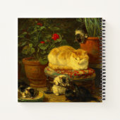 Kittens bij Play Notitieboek (Achterkant)