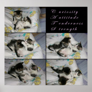 Kittens bij Play Poster