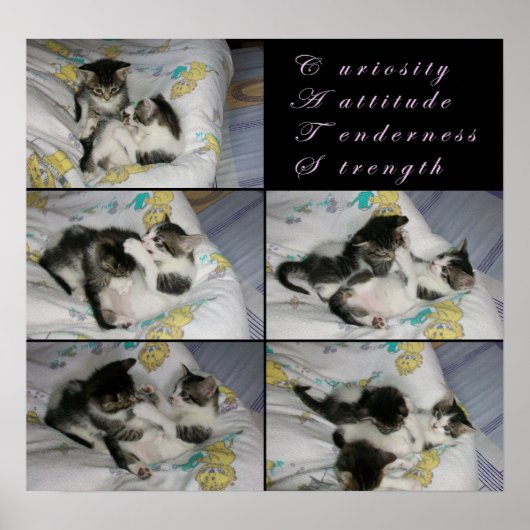 Kittens bij Play Poster (Voorkant)