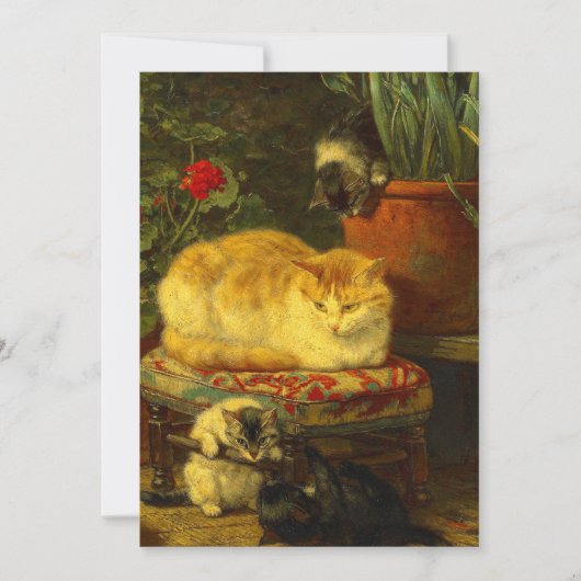 Kittens bij Play Save The Date (Voorkant)