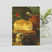 Kittens bij Play Save The Date (Staand voorkant)