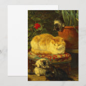 Kittens bij Play Save The Date (Voorkant / Achterkant)