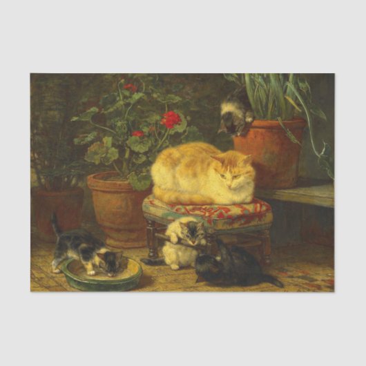 Kittens bij Play Tissuepapier (Voorkant)