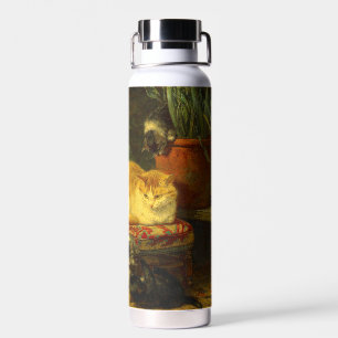 Kittens bij Play Waterfles