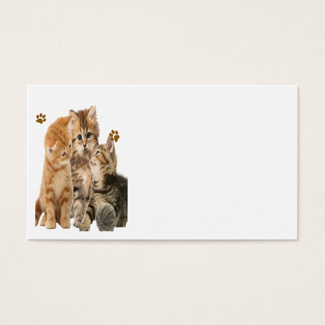 Kittens bij spelproducten visitekaartje (Voorkant)