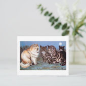 Kittens-bijeenkomst in Moonlight, Louis Wain Briefkaart (Staand voorkant)